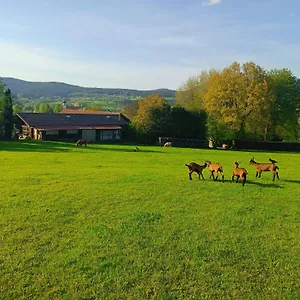 Wohnungen- Christopherhof Mj,grafenwiesen Aparthotel Grafenwiesen